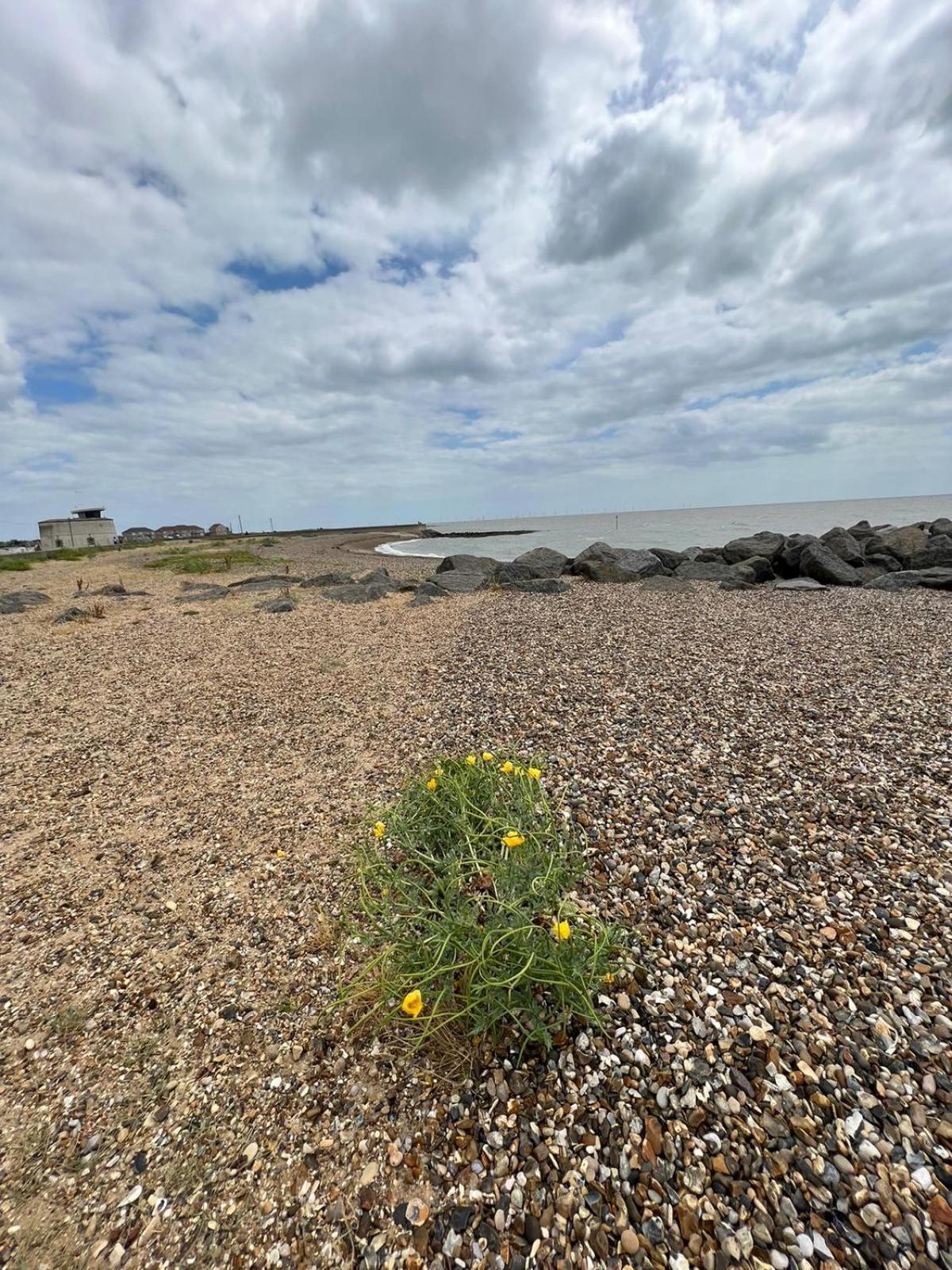 Luxurious Three Bedroom Caravan Jaywick Sands Bagian luar foto